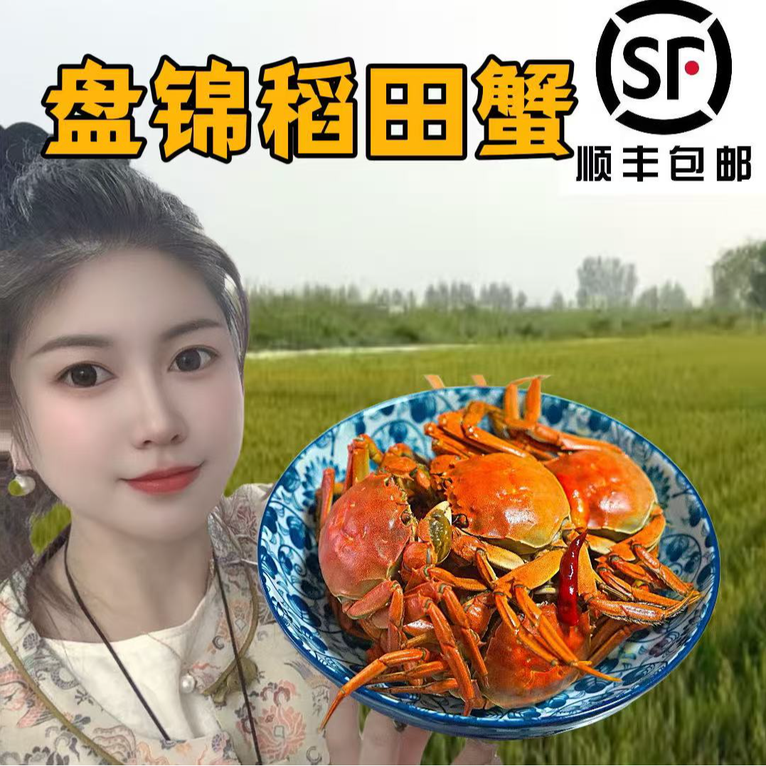 【活蟹】盘锦河蟹海鲜1.3-1.6两全母3斤/4斤/5斤