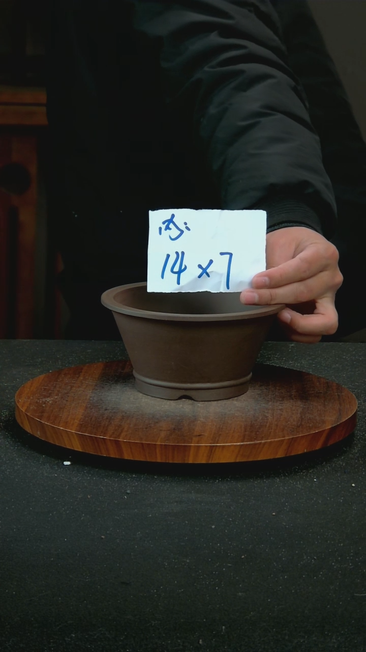 【闪购商品】紫砂S80