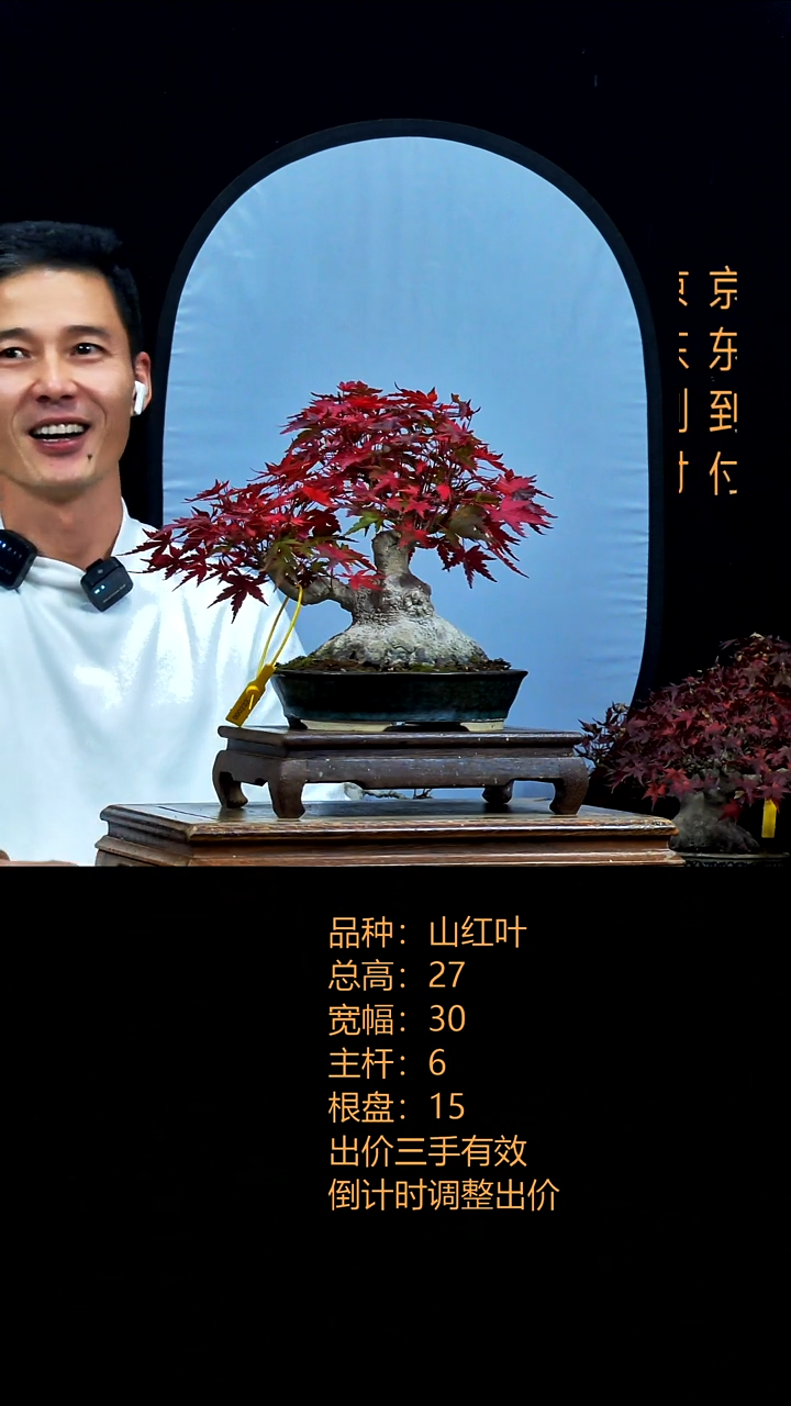 无花朵看***花000000000
