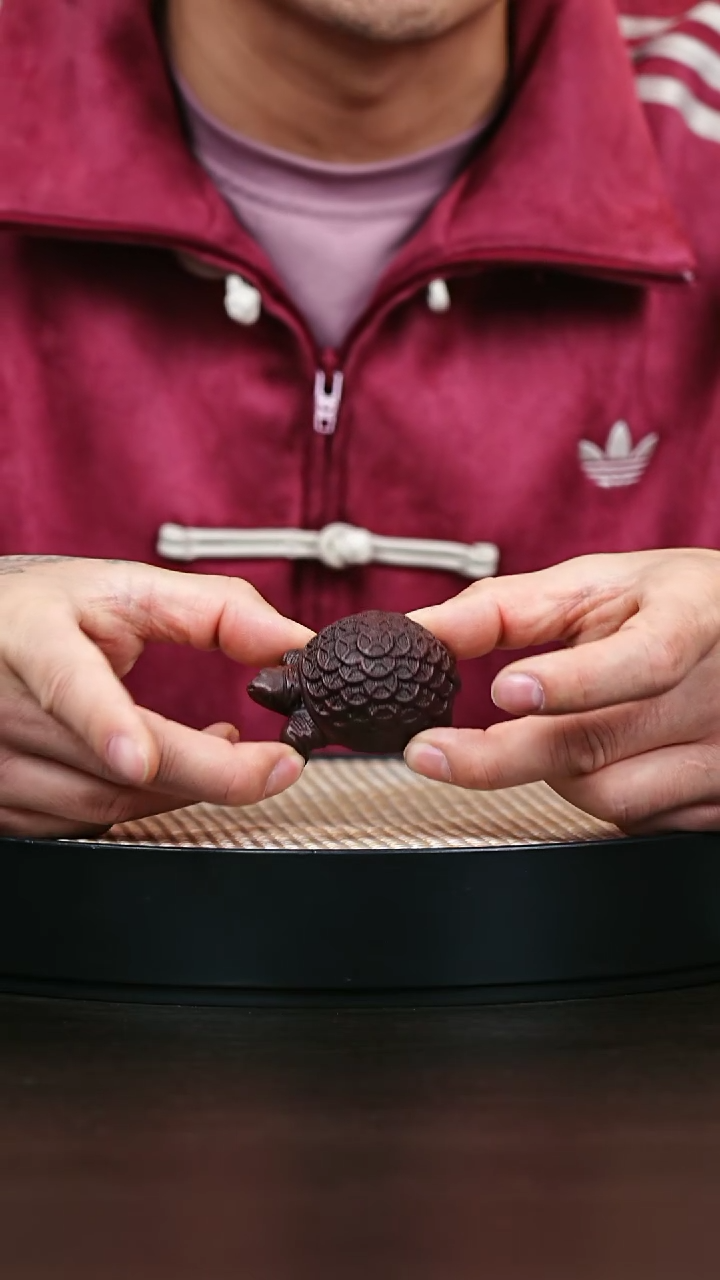 茶壶紫砂紫砂茶宠金钱龟