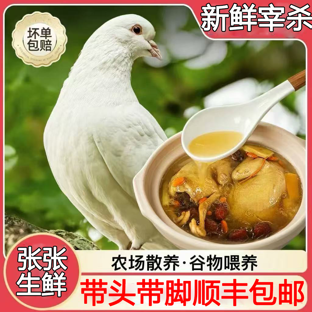 【到手6只】杂粮喂养新鲜现杀乳鸽急冻锁鲜单只杀后净重4-5两净膛