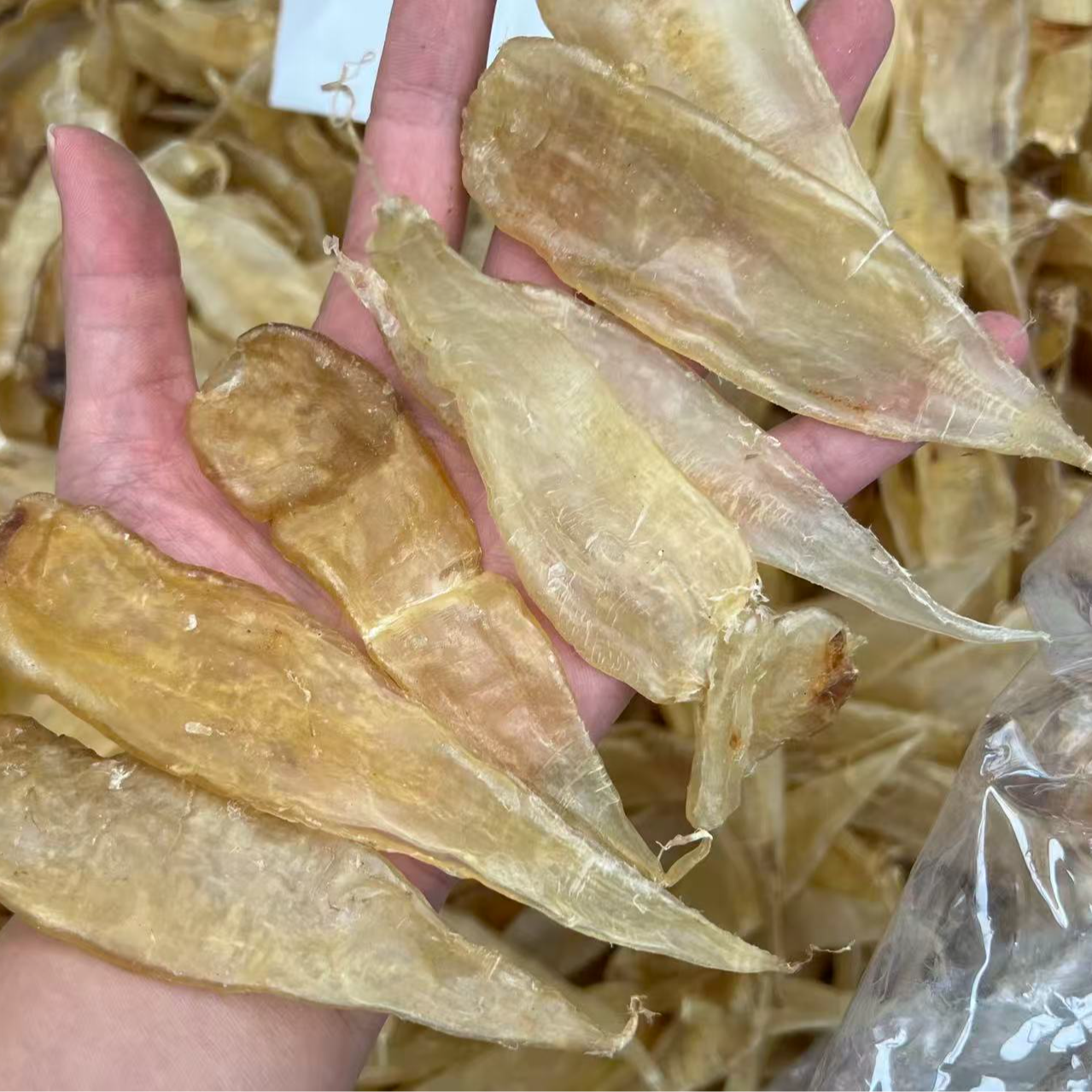 培辉堂73头 豆仁胶 花胶