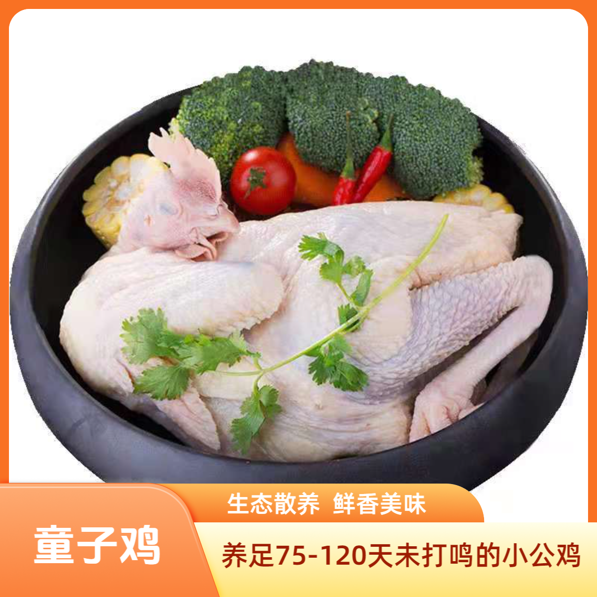 【京东送上门】九华山农村散养小公鸡童子鸡2只现抓冷链新鲜直达