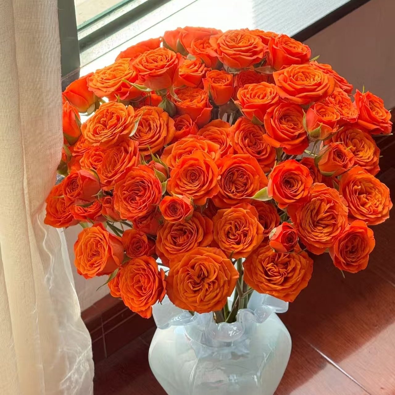 【采云鲜花】橙色芭比10枝云南昆明直发1单包邮2单升级冷链送配草