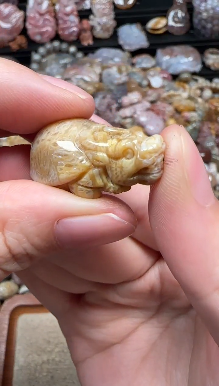 颈饰未镶嵌硅化珊瑚（珊瑚玉）862