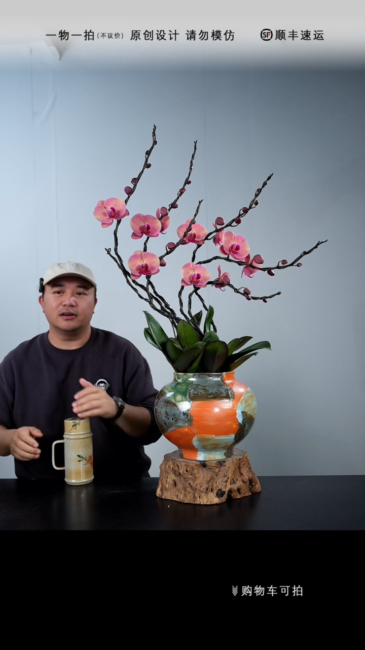 【闪购商品】079号链接【一物一拍】艺术盆景