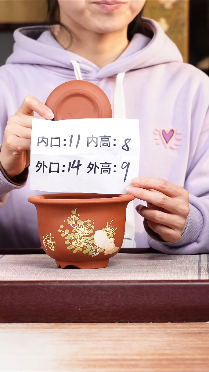 紫砂花盆清水泥绘菊迷你矮圆盆一只带色差托