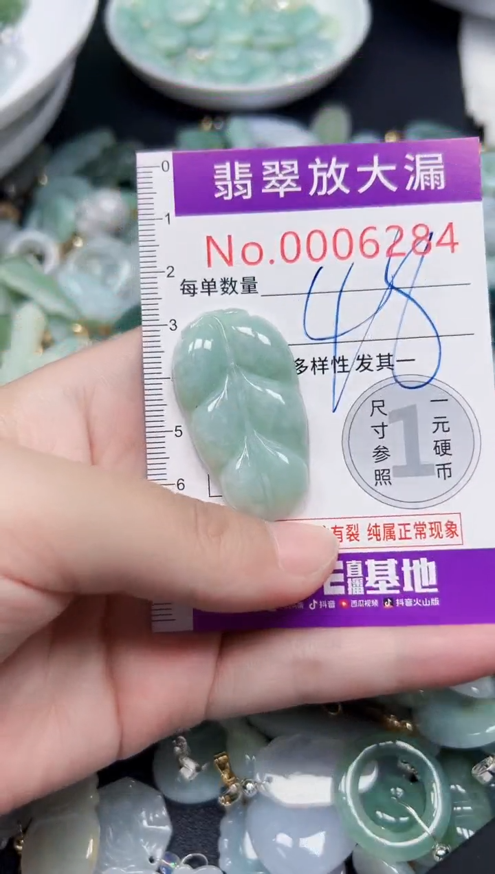颈饰未镶嵌翡翠6284