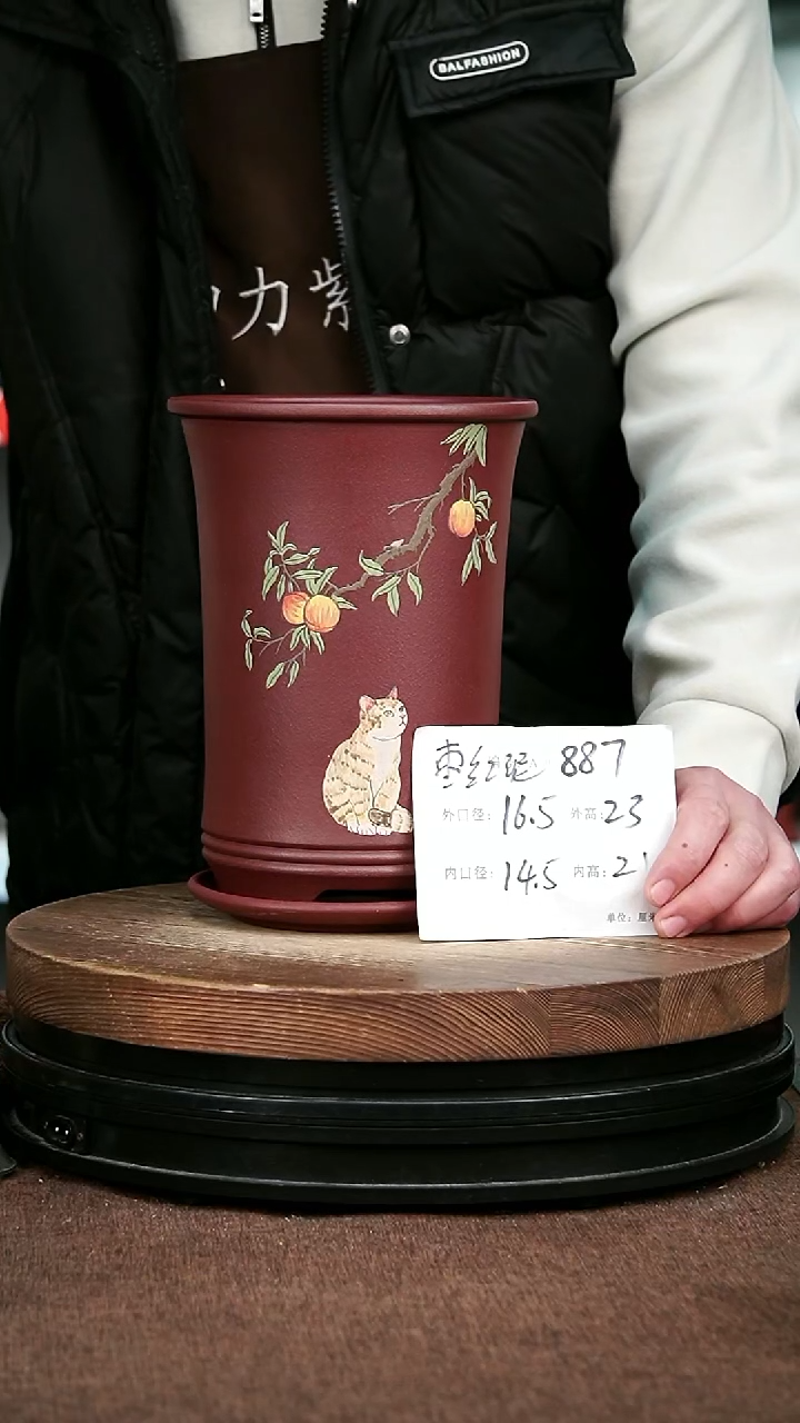紫砂花盆花卉园艺887+Z