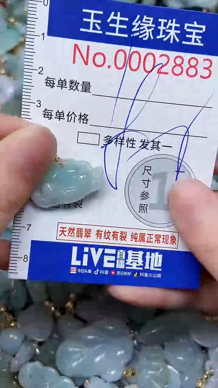 【闪购商品】翡翠颈饰未镶嵌闪购00002883