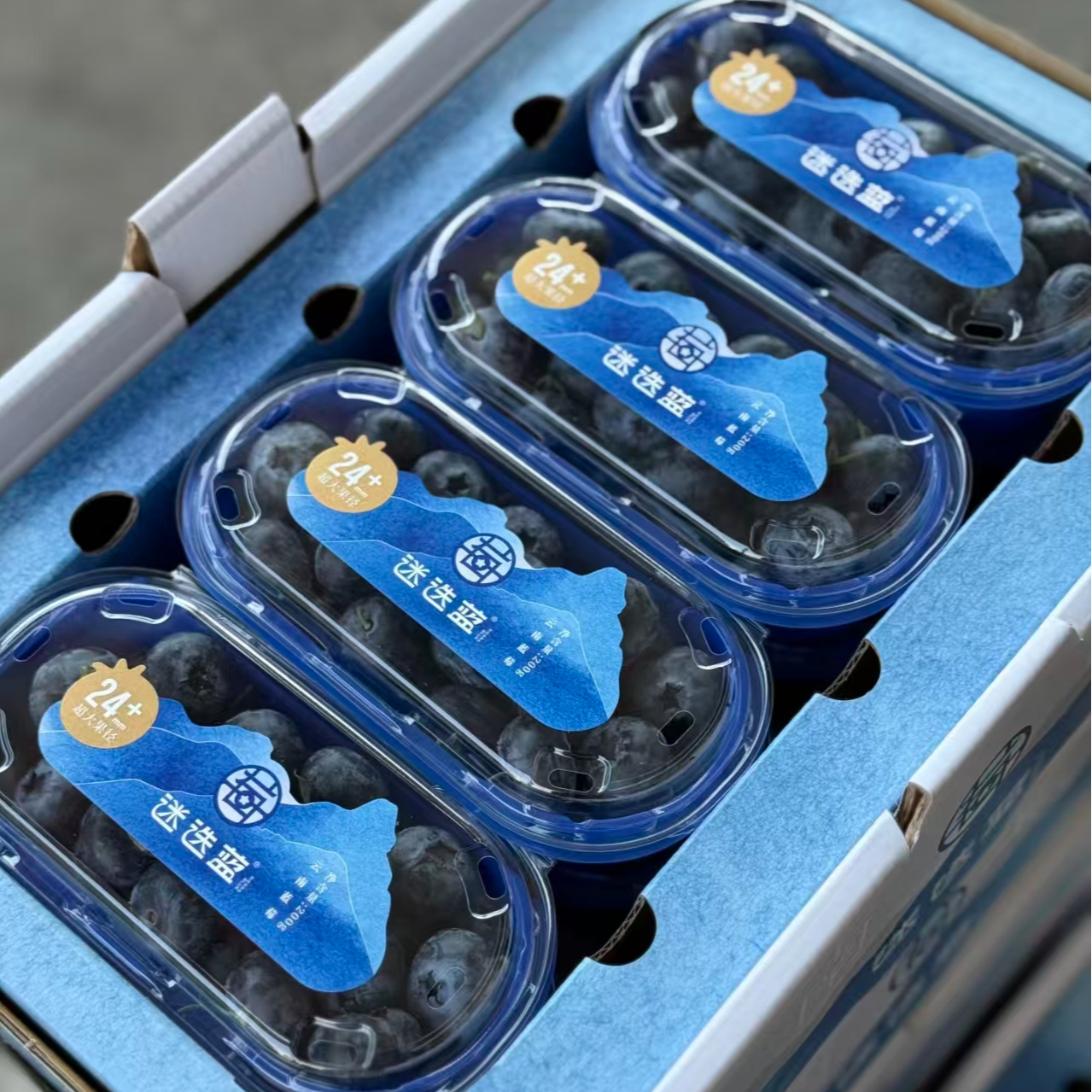 迷迭蓝24+云南皇冠蓝莓8盒/件云南省