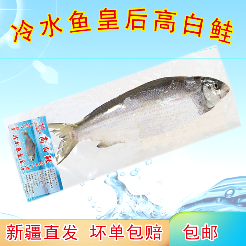 高白鲑新疆冷水鱼赛里木湖整条净膛冰鲜速冻开背去内脏包邮三去
