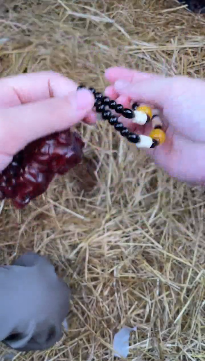 紫阙甄选闪购商品V无礼盒