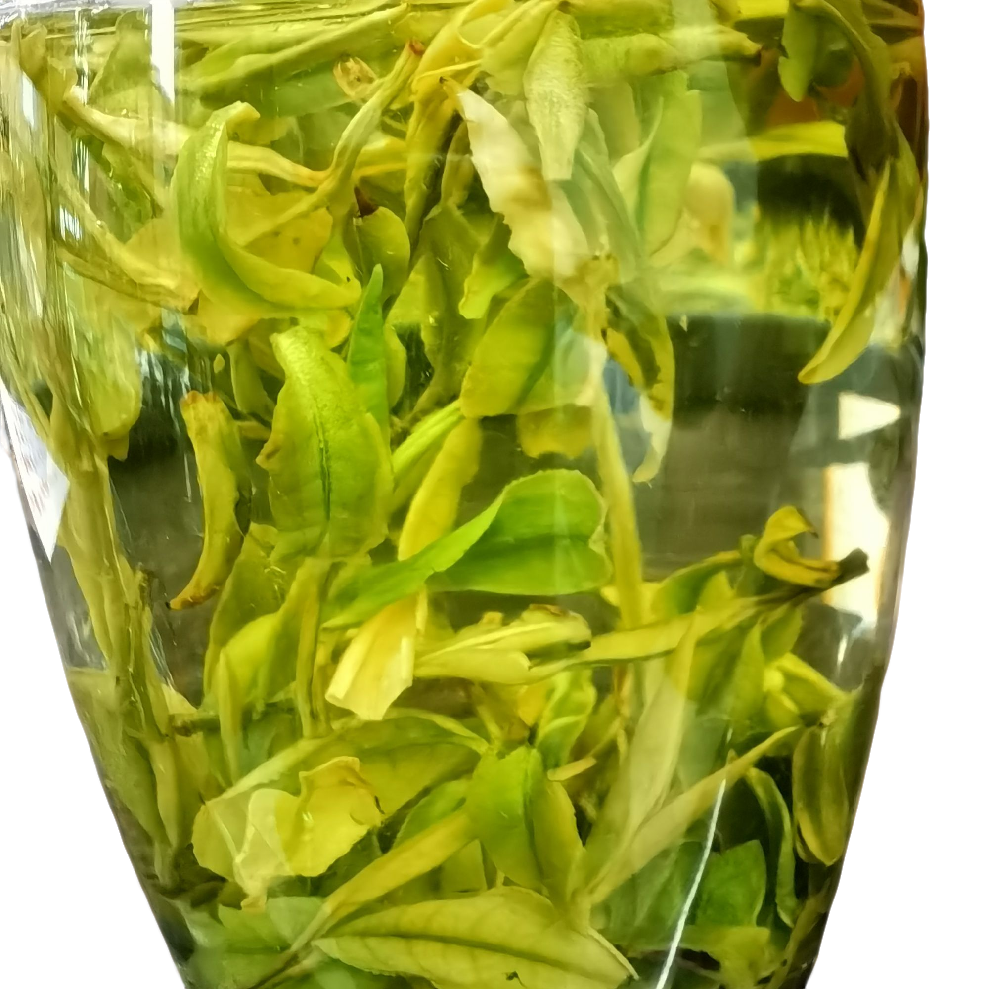 2025年新茶，明前，高山白茶（碎片）袋装（1000多白茶的口感）