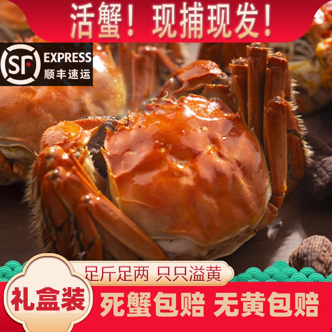 【活蟹】全母蟹2两10只鲜活江苏大闸蟹