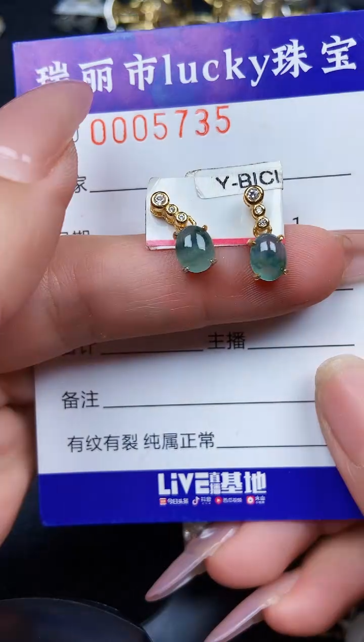 翡翠银S925镶嵌颈饰5735