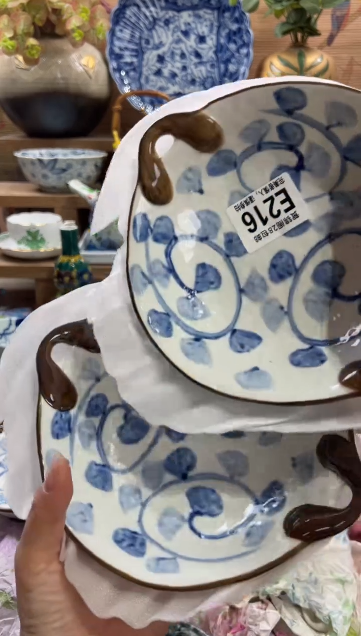 瓷片宁*      E216