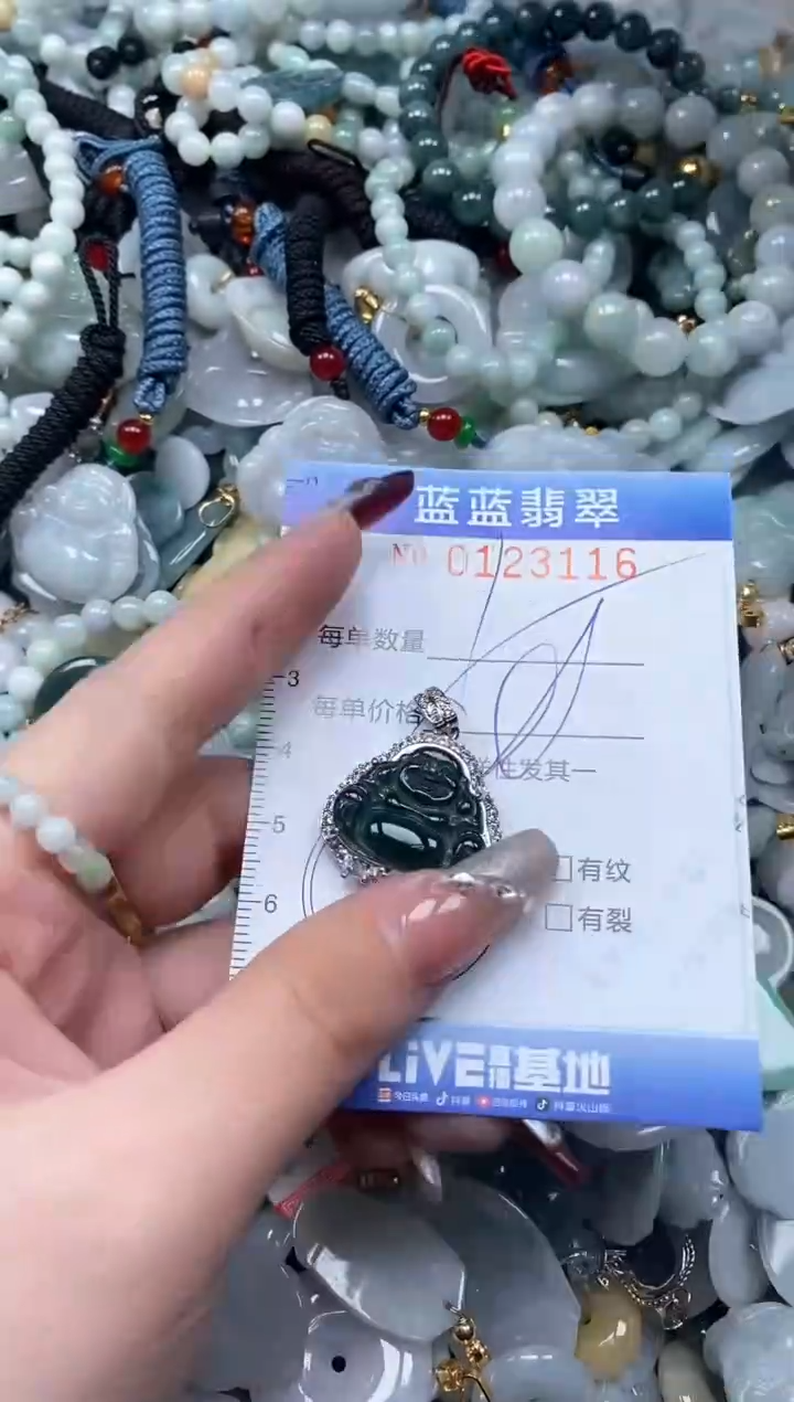 【闪购商品】翡翠颈饰未镶嵌闪购0123116多样性发其一