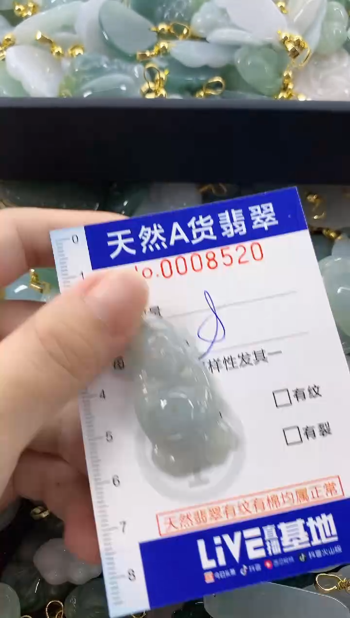 颈饰未镶嵌翡翠天然A货翡翠