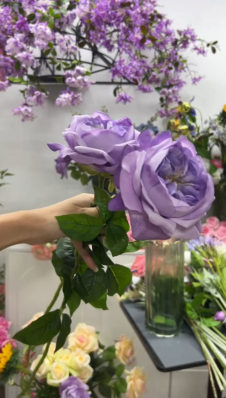 3枝手感保湿朱丽叶