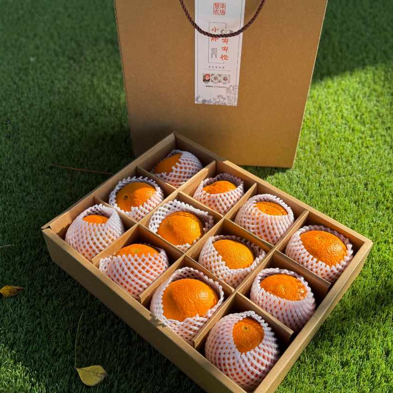 【顺丰包邮】礼盒新年正宗象山红美人柑橘爱媛28号果冻橙新鲜送礼