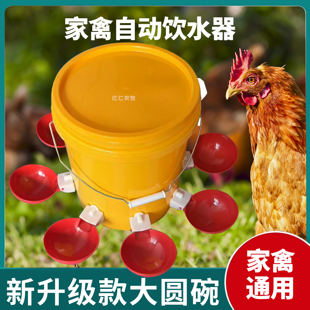升级款圆碗鸡鸭鹅饮水器饮水碗鸽子喝水碗鹌鹑家禽鸟小鸡喂鸡神器