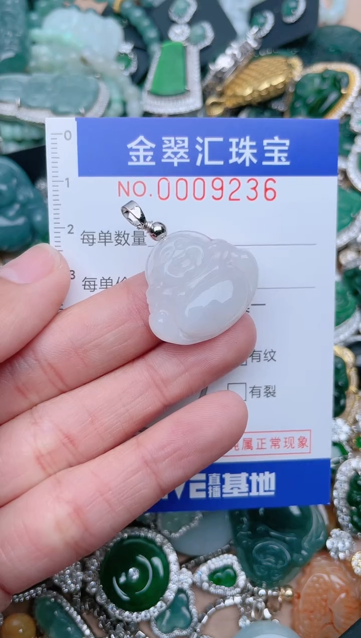 【闪购商品】翡翠颈饰未镶嵌9236.......