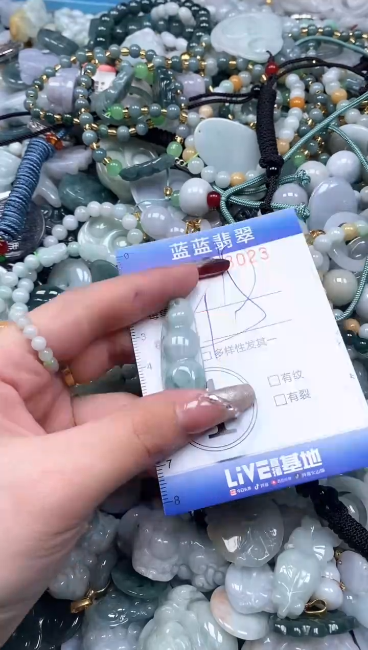 【闪购商品】翡翠颈饰未镶嵌闪购0123023多样性发其一