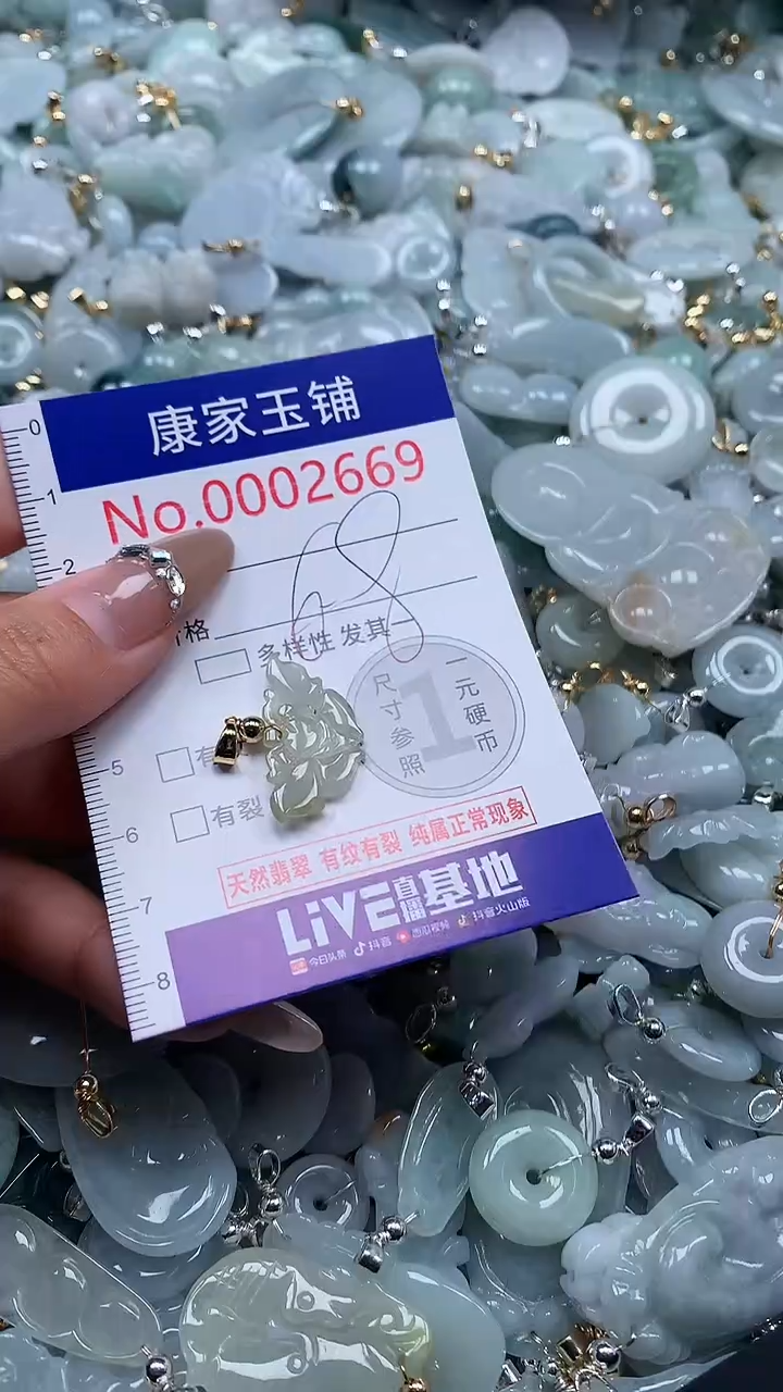 翡翠未镶嵌吊坠(不含链)2669