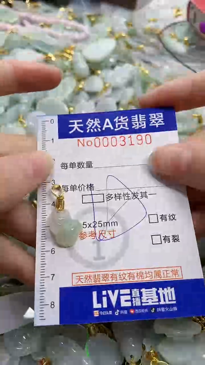 颈饰未镶嵌翡翠天然A货翡翠