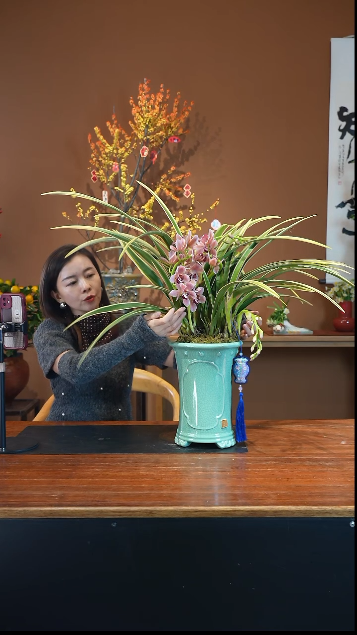 全部花朵金粉佳人盆景盆景盆景