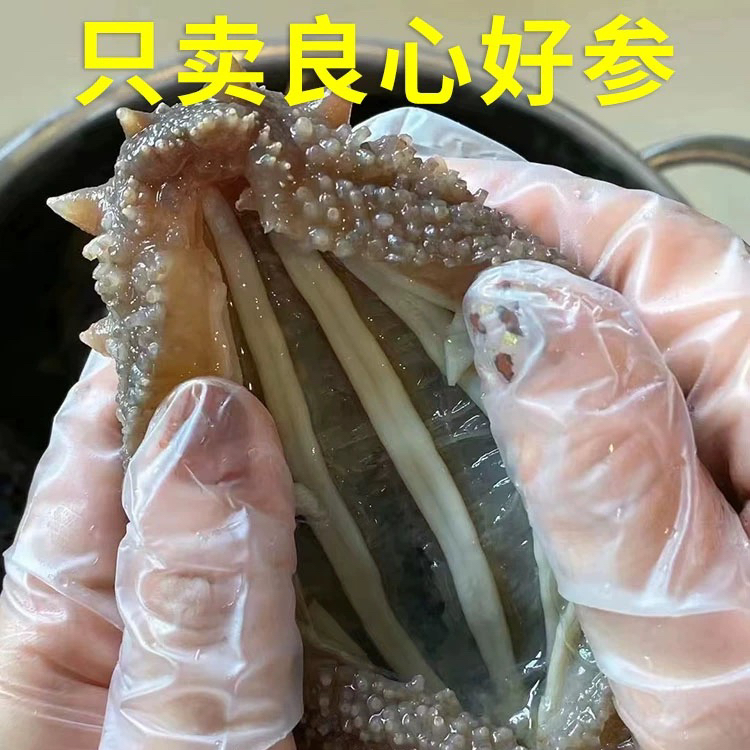 大连当地海参 小号60-90个头  不剪沙嘴