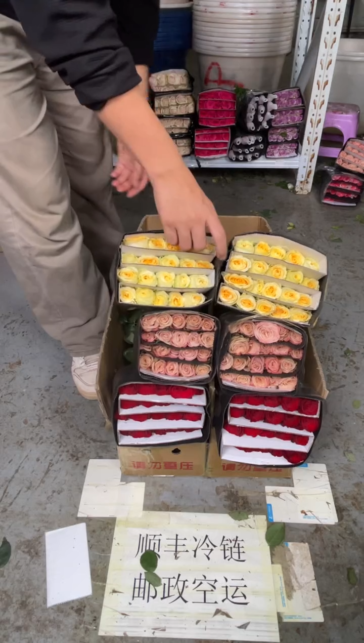 高原红20枝+卡布20枝+奶油杯20枝