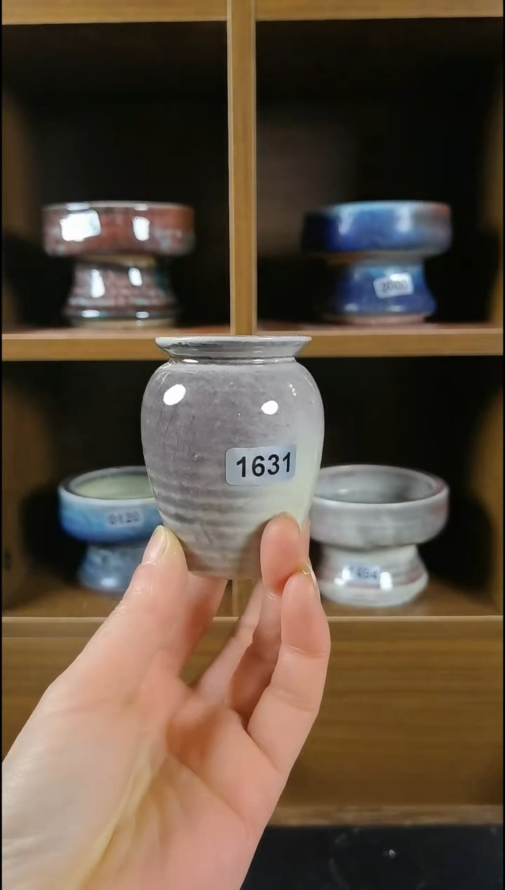 【闪购商品】红陶1631