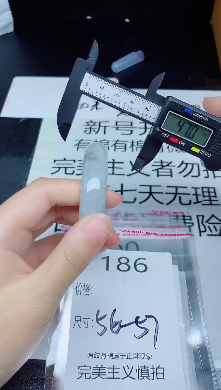 未镶嵌手镯翡翠186
