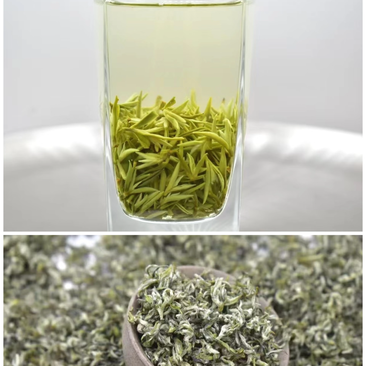 2025新茶手工碧螺春！花果香