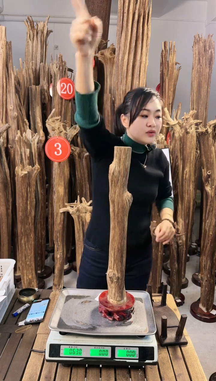 【闪购商品】沉香摆件沉香摆件多样性发一件17