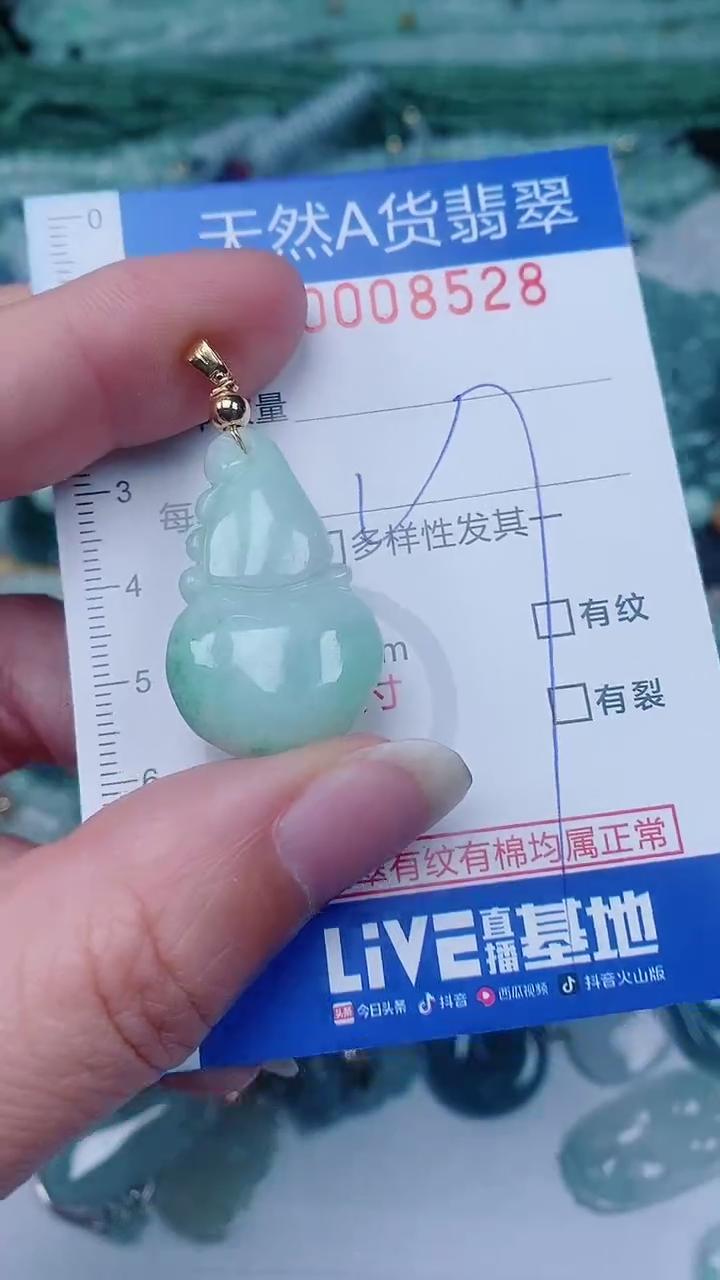 翡翠未镶嵌颈饰00008528