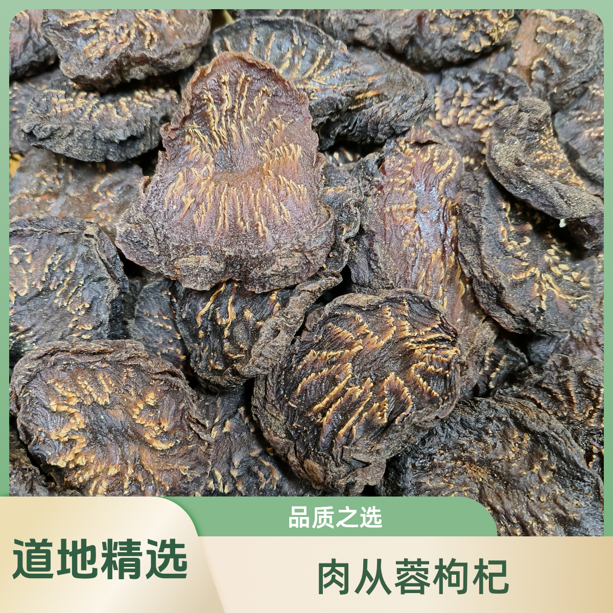 【肉从蓉】精选道地本草，内蒙古阿拉善