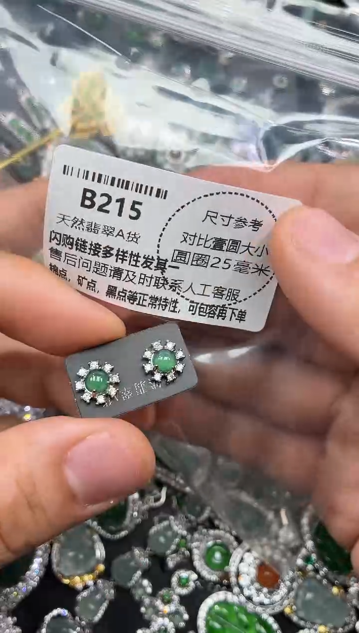 颈饰未镶嵌翡翠B215耳钉