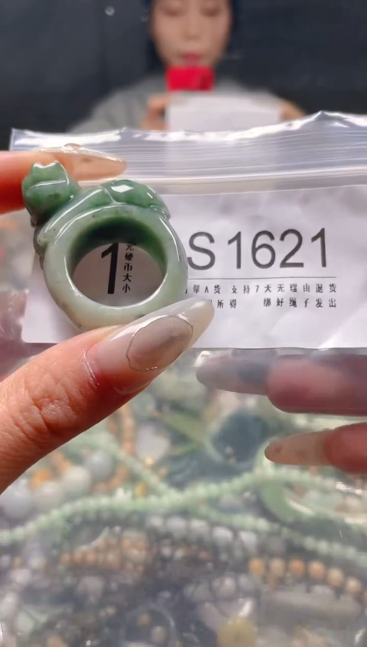 【闪购商品】翡翠颈饰未镶嵌21.2/S/翡翠A货一图一物