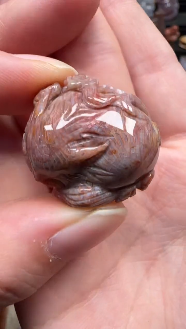 颈饰未镶嵌硅化珊瑚（珊瑚玉）178