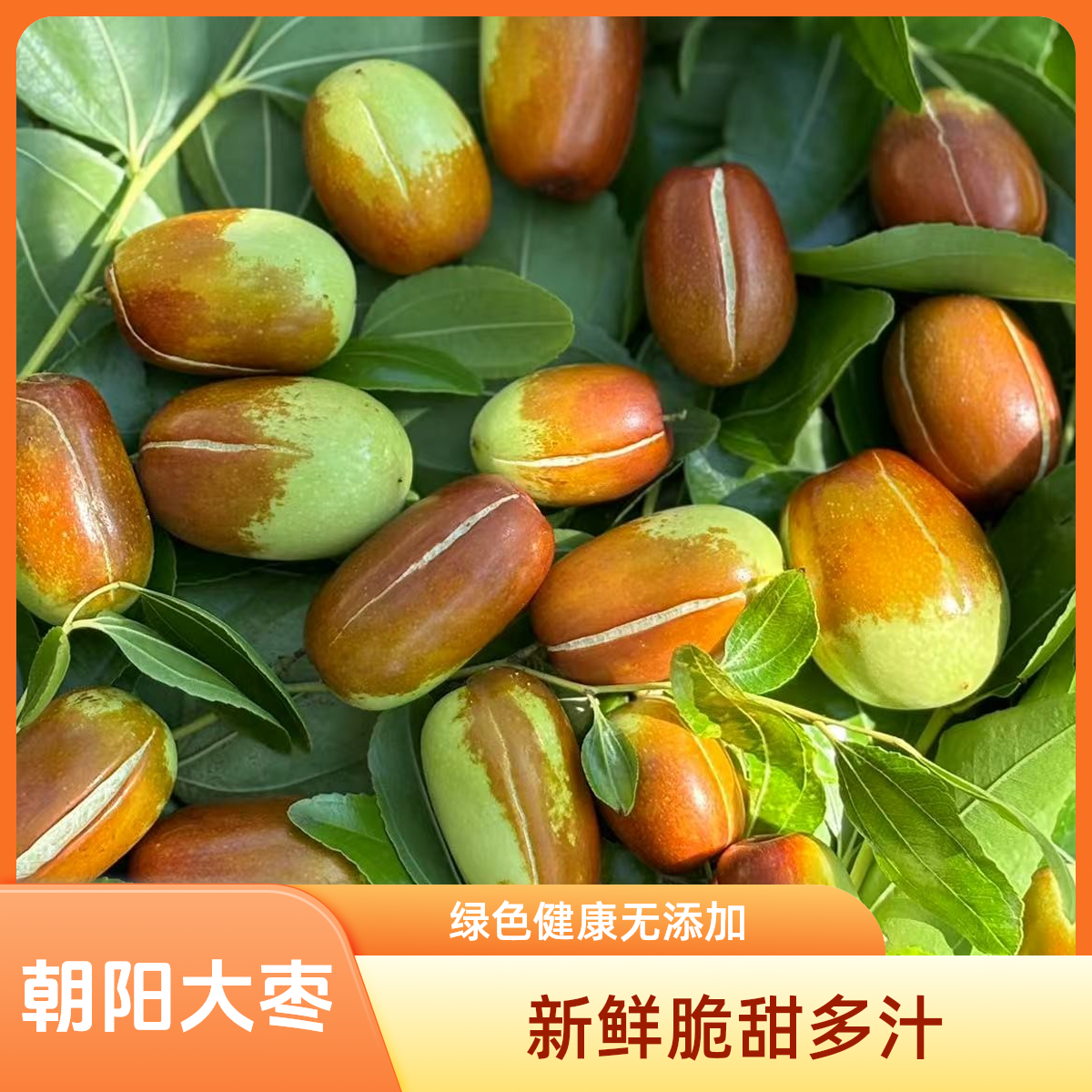 朝阳大枣营养九甜一酸 甜脆可口皮薄肉厚 包邮到家新鲜绿色