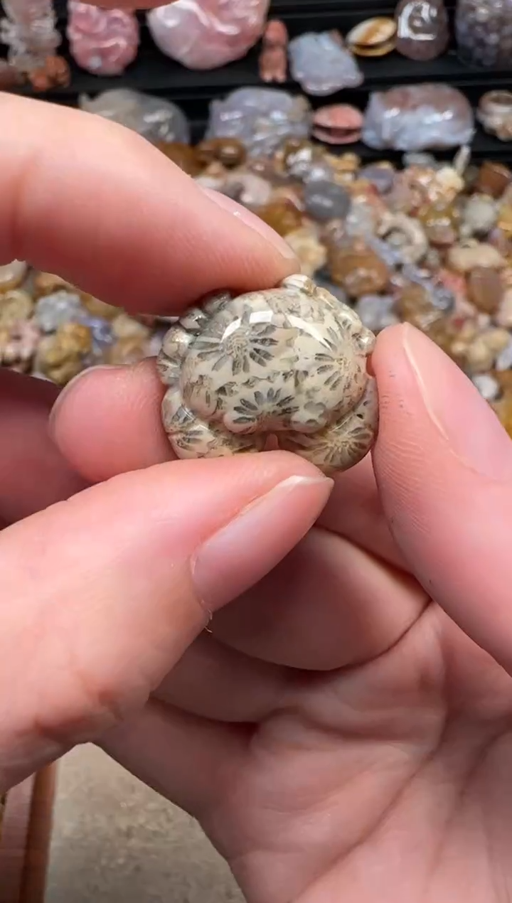 颈饰未镶嵌硅化珊瑚（珊瑚玉）043