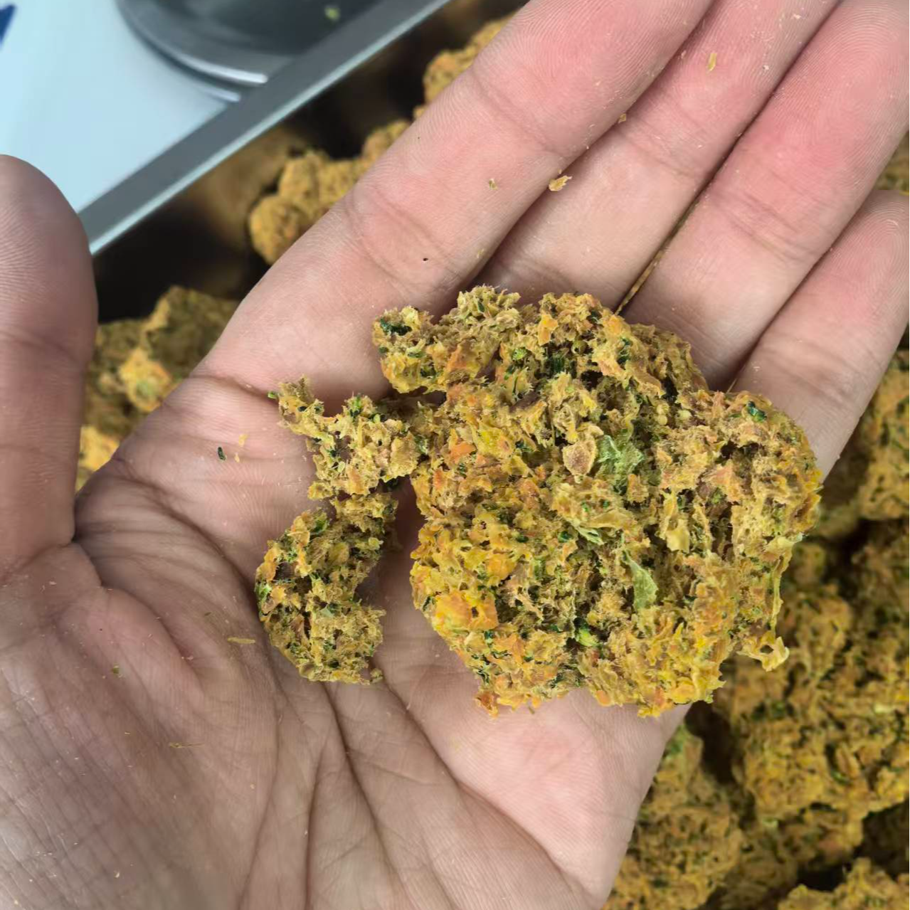 金丝熊仓鼠花枝鼠战损版辅食饼碎的