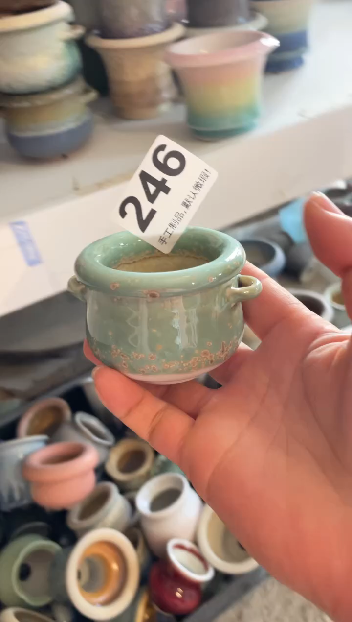 瓷片哈****0246小芳直播编号
