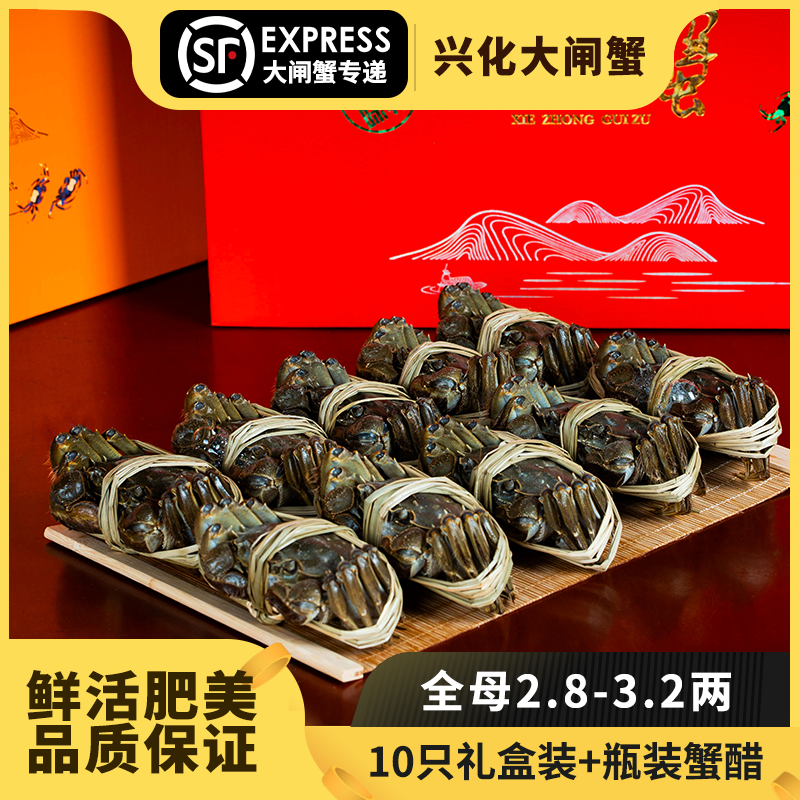 【活蟹】兴化大闸蟹母2.8-3.2两10只礼盒装顺丰京东包邮