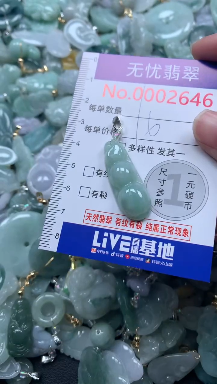 颈饰未镶嵌翡翠2646