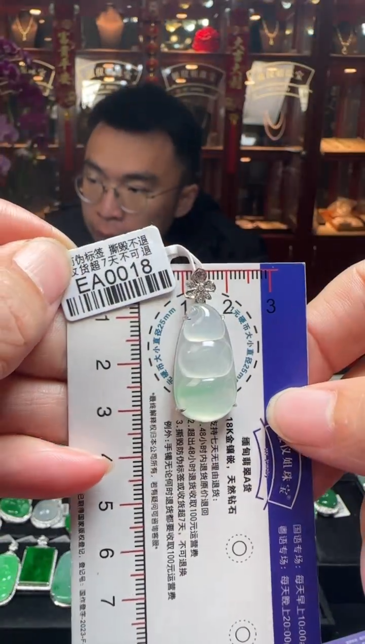 【闪购商品】翡翠颈饰18K金镶嵌EA0018富贵豆