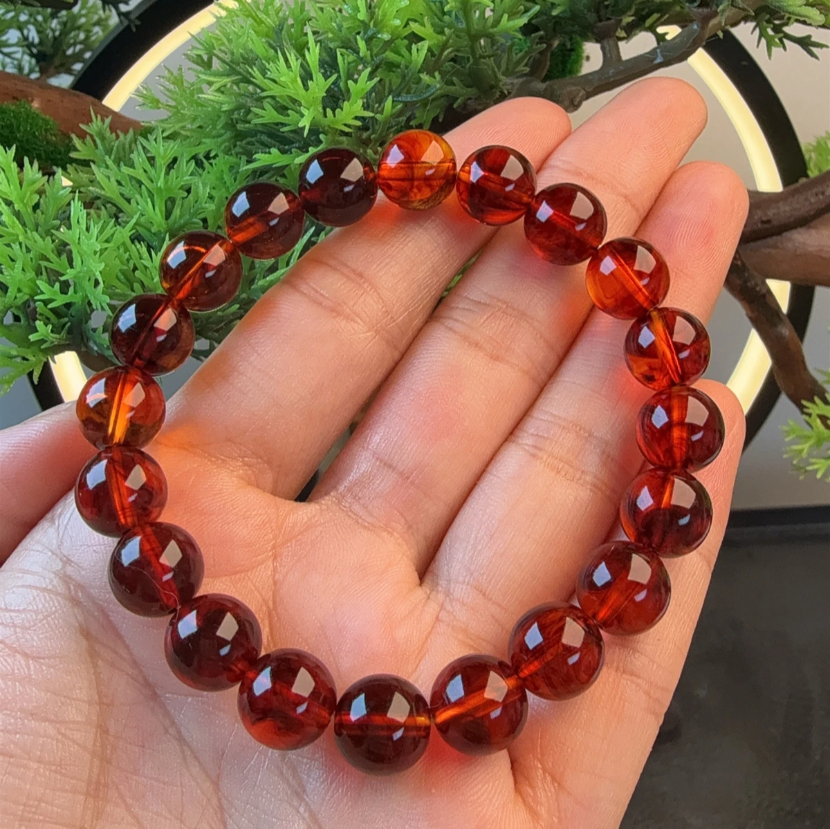 树脂手链 血药珀手链单圈手串【紫杉醇】